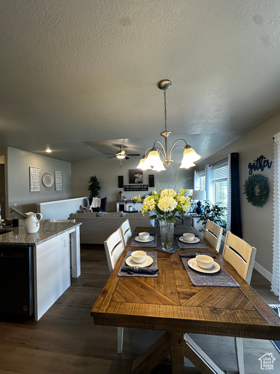 Dining space featuring dark wood-style flooring, a textured ceiling, a chandelier, and ceiling fan