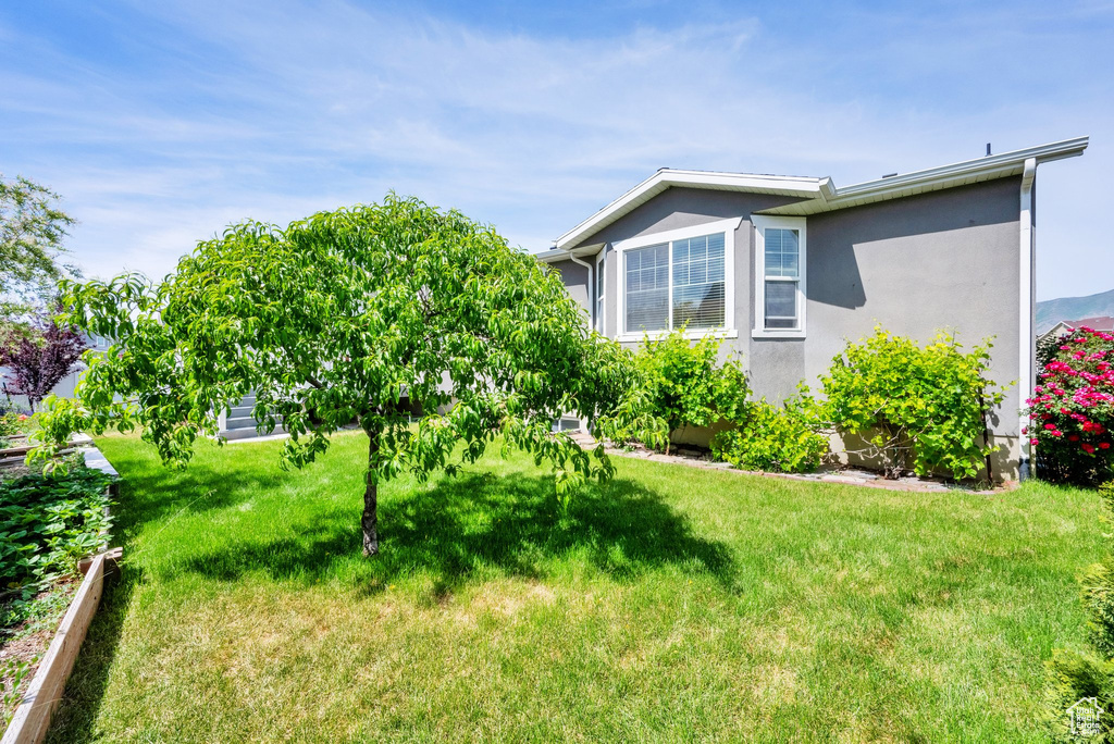 View of grassy yard