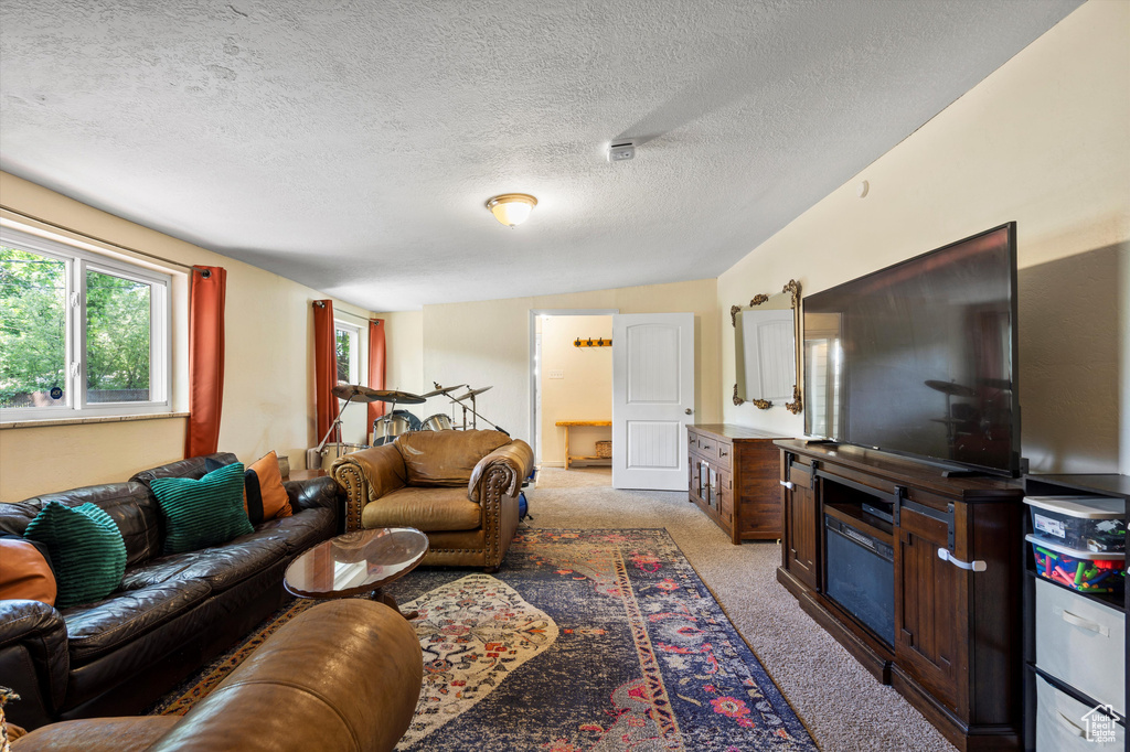Living room featuring light carpet and a textured ceiling