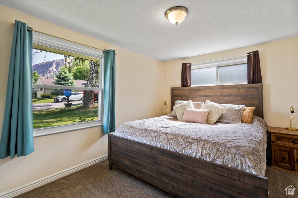 Bedroom featuring carpet floors, baseboards, and a mountain view