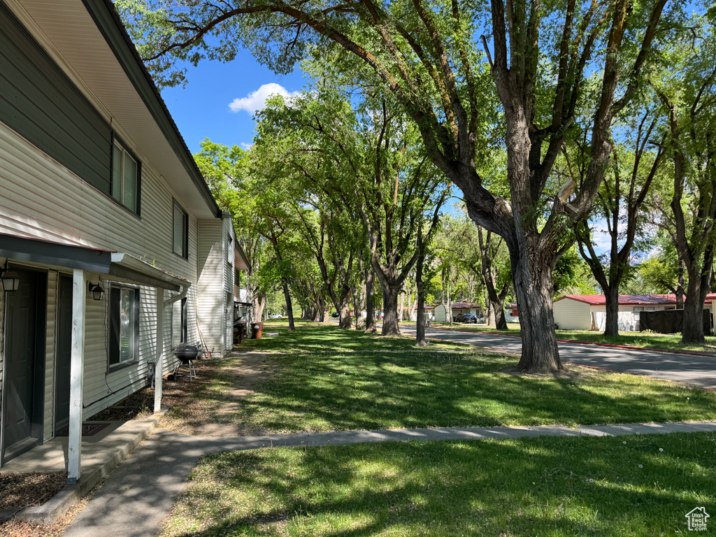 View of green lawn