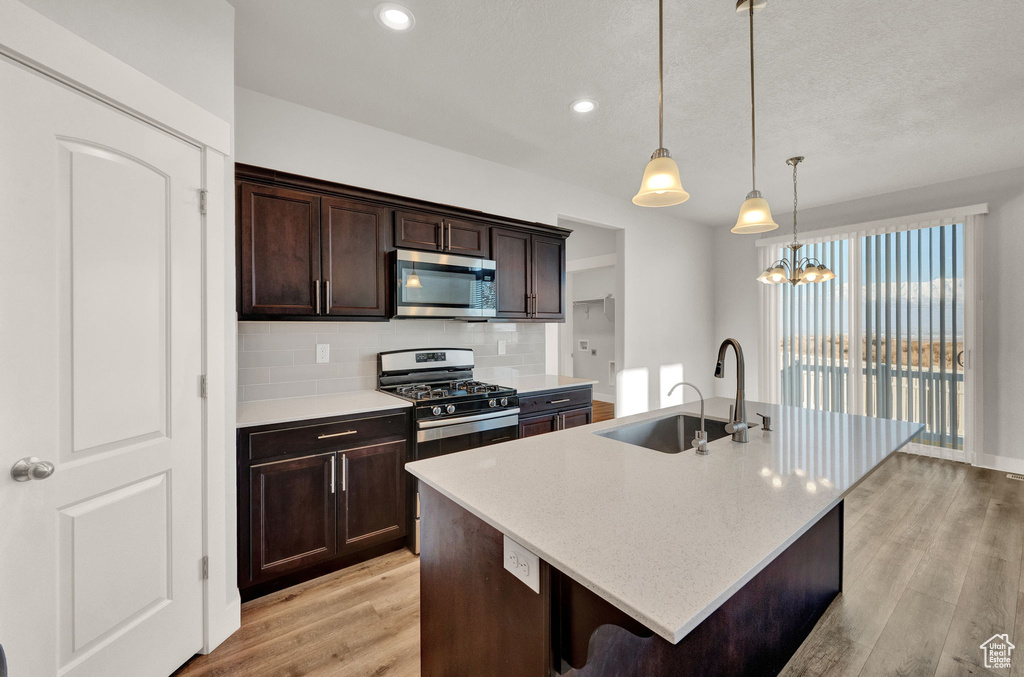 Kitchen featuring stainless steel appliances, a sink, light wood-style floors, dark brown cabinetry, and decorative backsplash