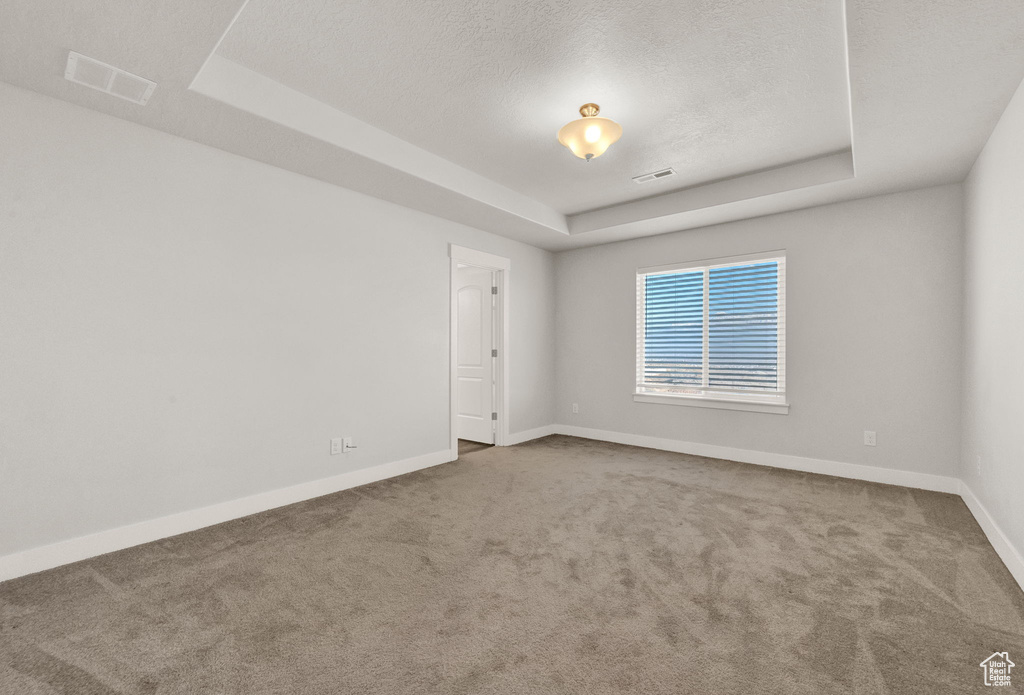 Carpeted spare room featuring a tray ceiling, baseboards, and a textured ceiling