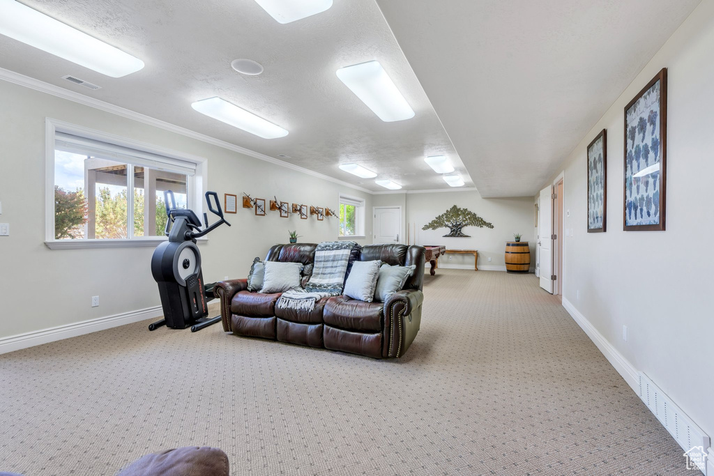 Living area with carpet flooring, baseboards, and ornamental molding