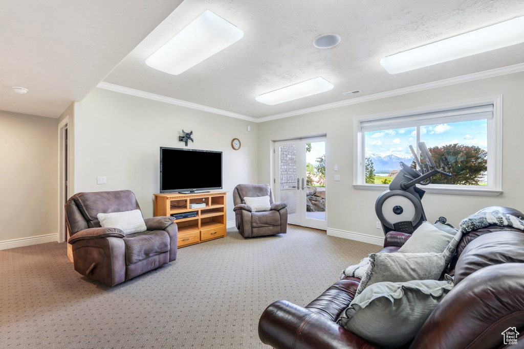 Living area with carpet, baseboards, and crown molding