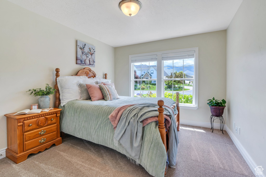 Bedroom with carpet flooring and baseboards