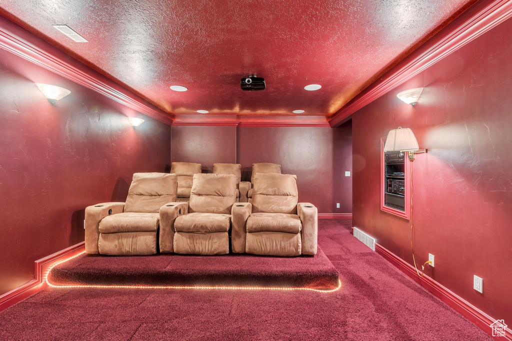 Cinema with carpet floors, crown molding, a textured ceiling, and baseboards