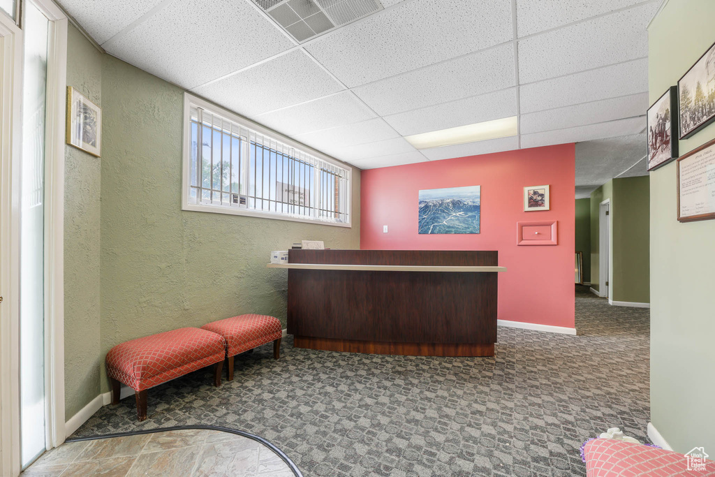 Bar area with a drop ceiling, baseboards, and a textured wall