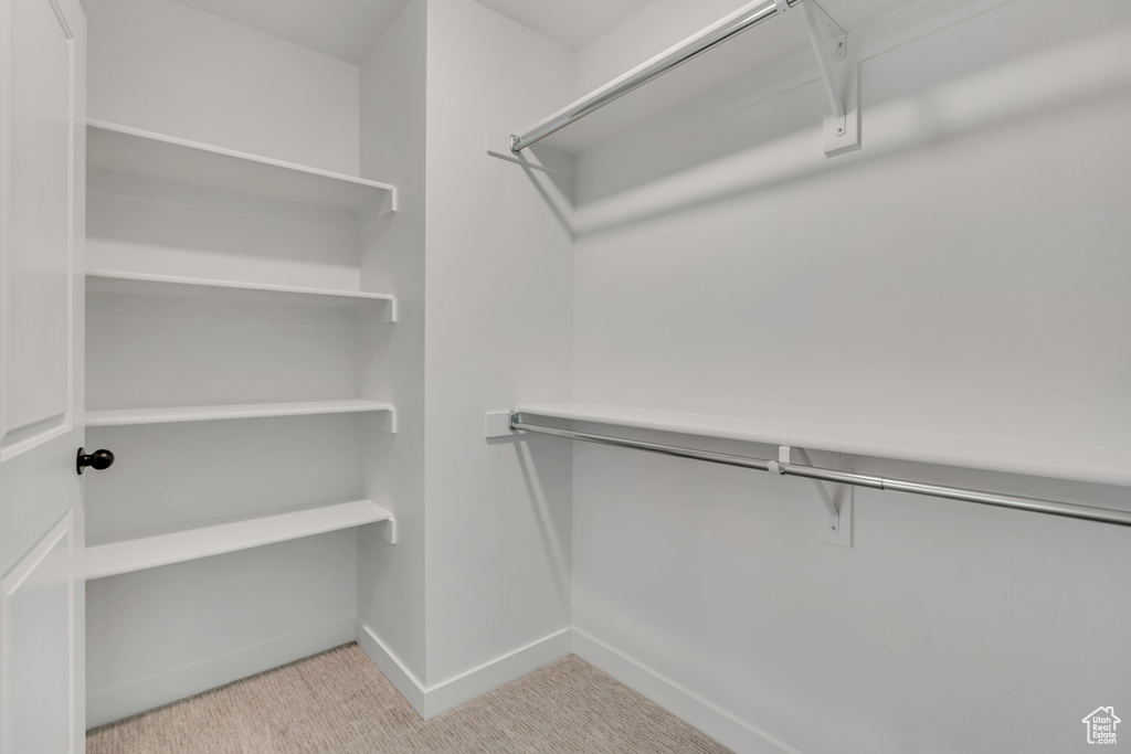 Spacious closet with light carpet