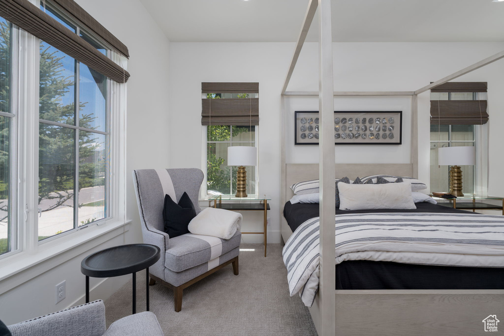 Bedroom with multiple windows, carpet, and baseboards