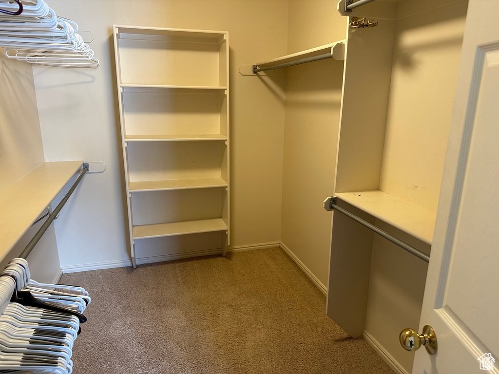 Walk in closet with carpet floors