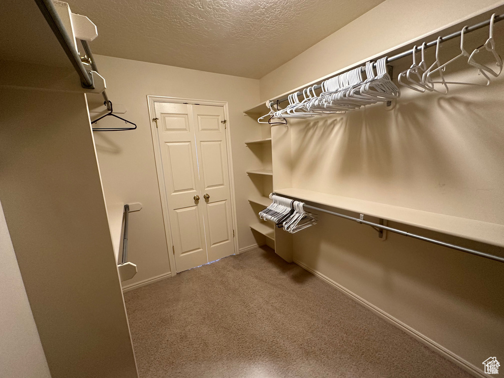 Spacious closet with carpet