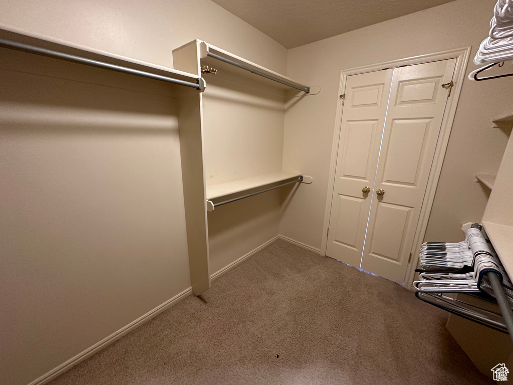 Walk in closet featuring carpet floors