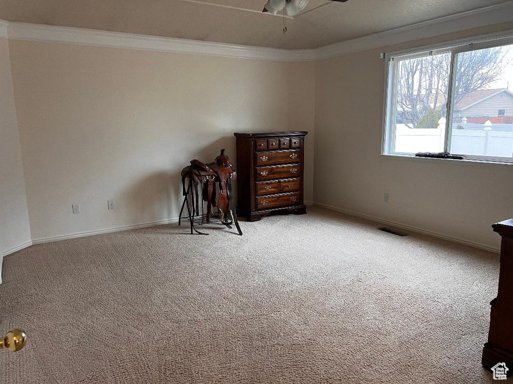Empty room with crown molding, carpet floors, a ceiling fan, and baseboards