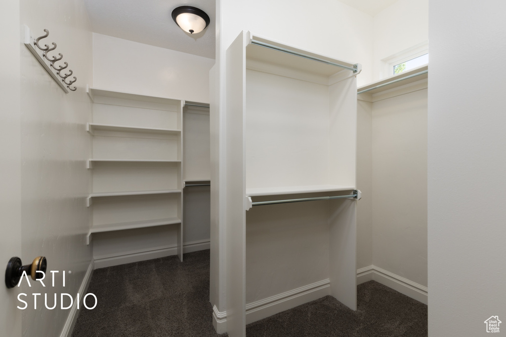 Spacious closet featuring dark colored carpet