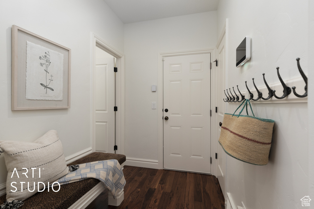 Foyer entrance with dark wood-type flooring