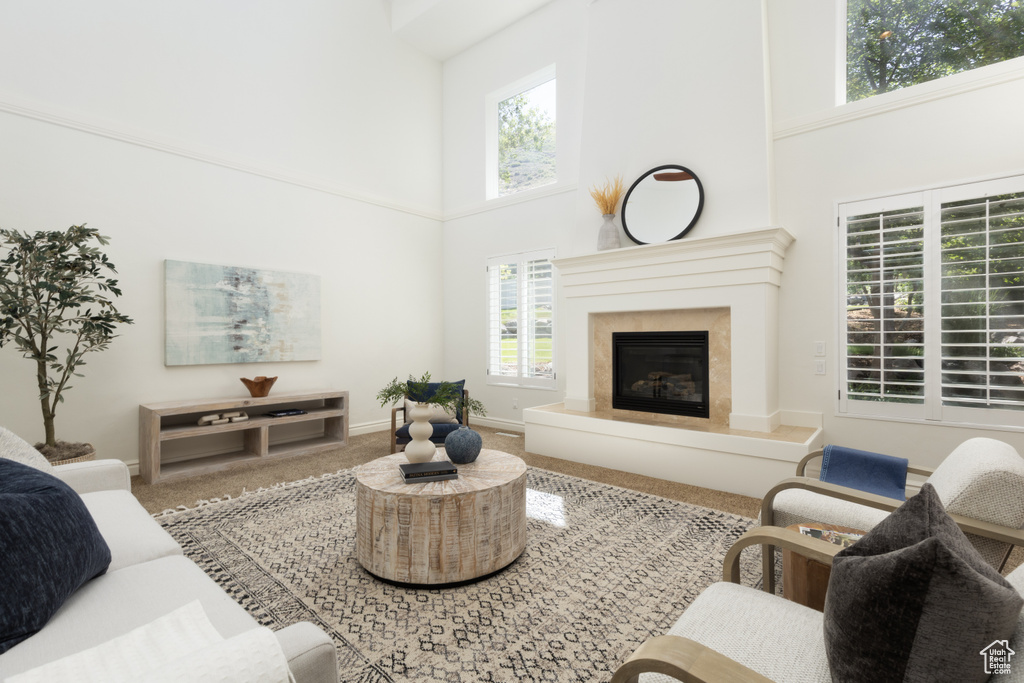 Living area with a high ceiling, a fireplace, and carpet