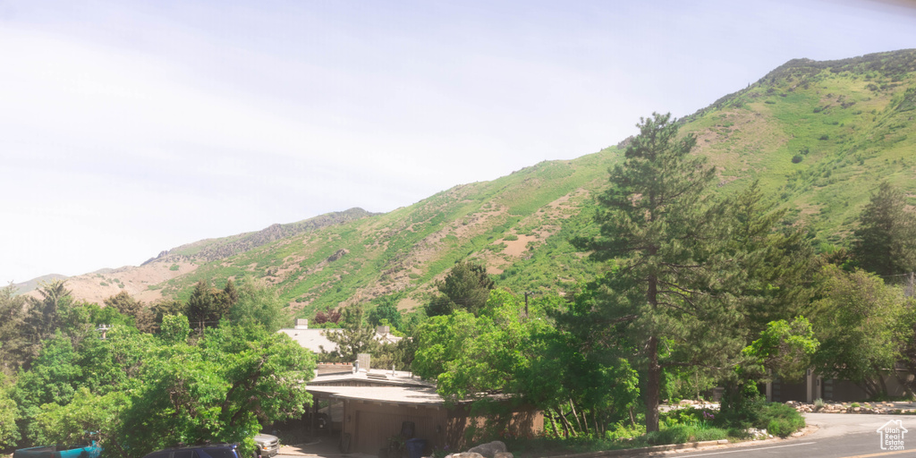 View of mountain background