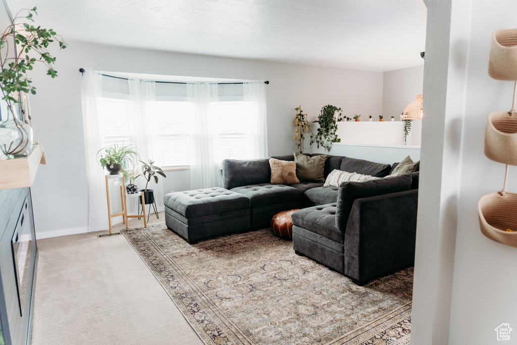 Living room with carpet floors