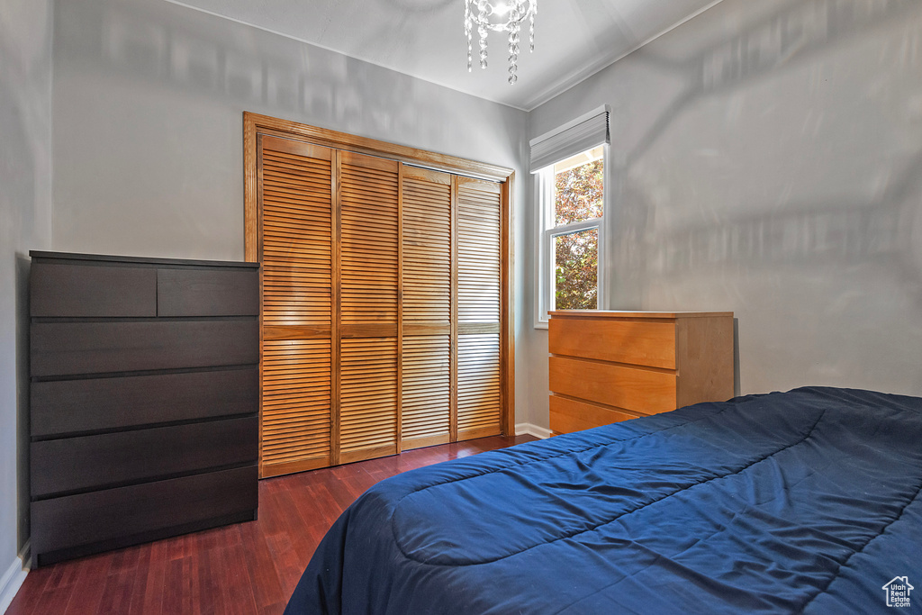 Bedroom with wood finished floors, a closet, and baseboards
