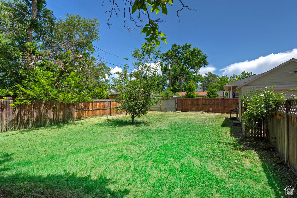 View of yard