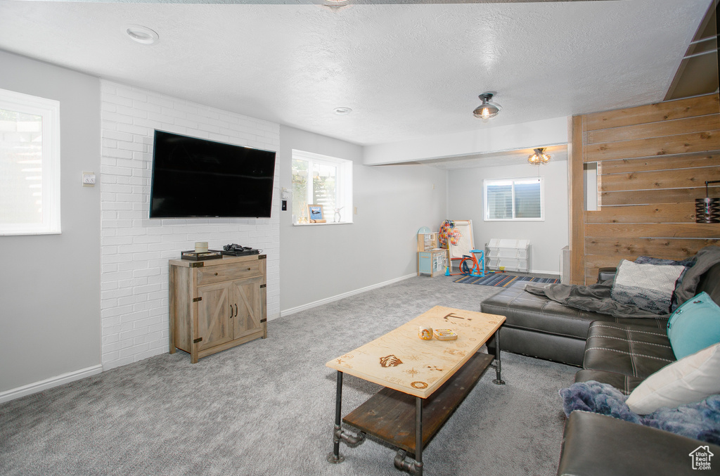 Carpeted living area featuring baseboards and a textured ceiling