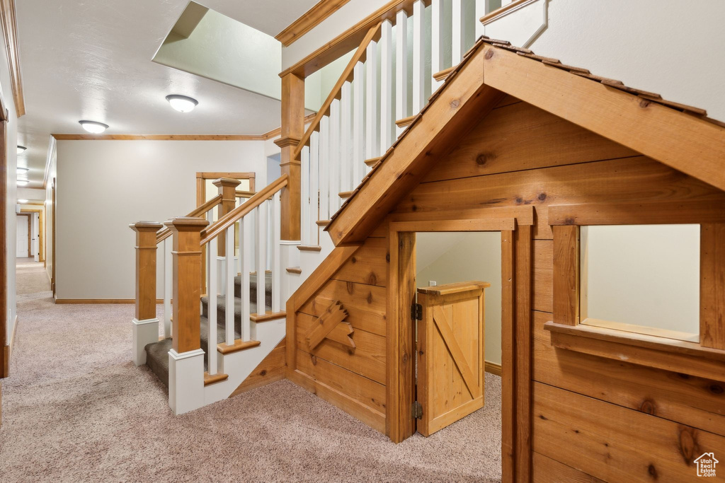 Stairs with carpet and crown molding