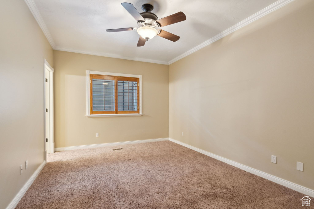 Spare room featuring carpet floors, a ceiling fan, crown molding, and baseboards