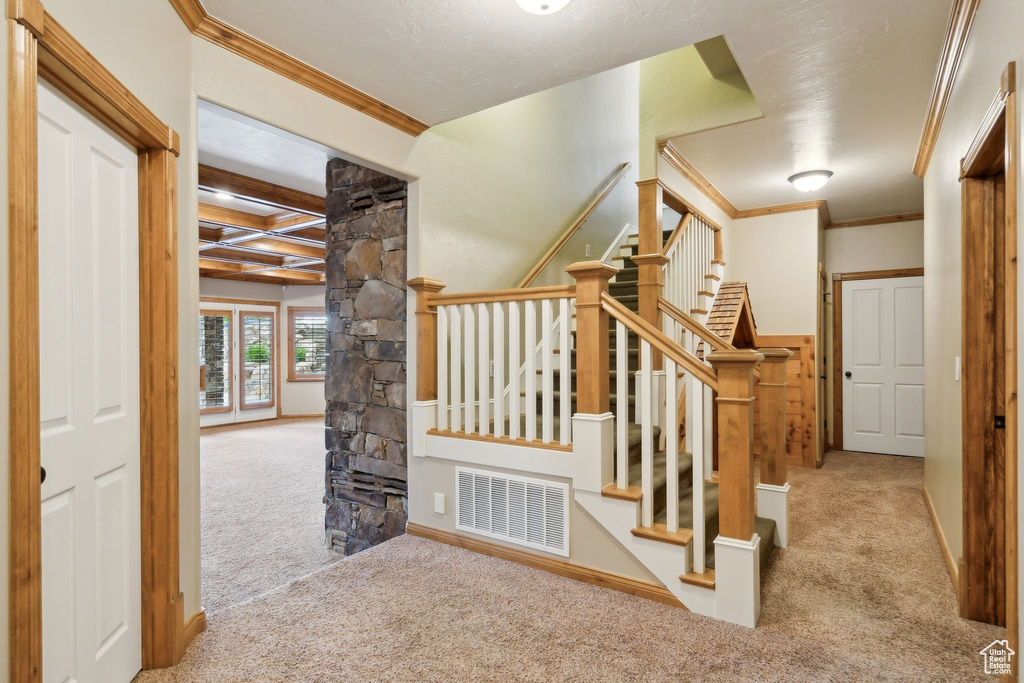 Stairway featuring carpet flooring, crown molding, beam ceiling, and baseboards