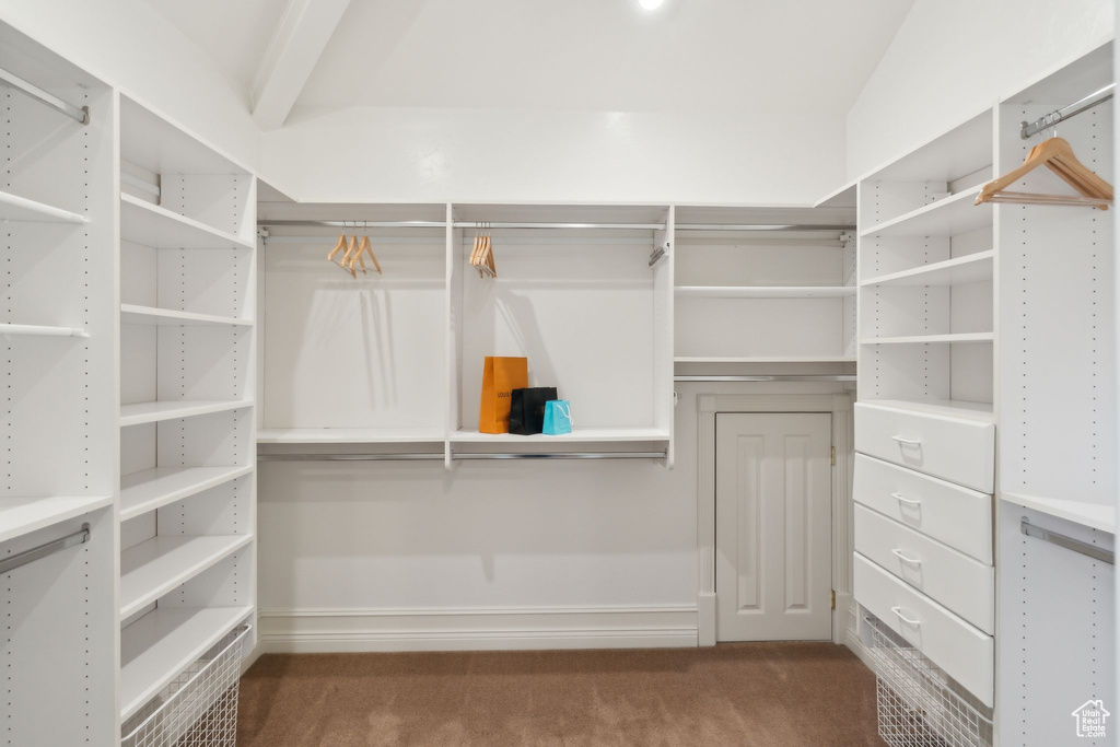 Spacious closet with carpet