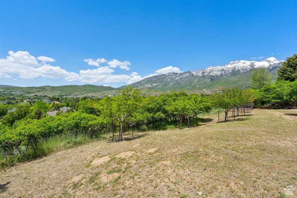 Mountain view