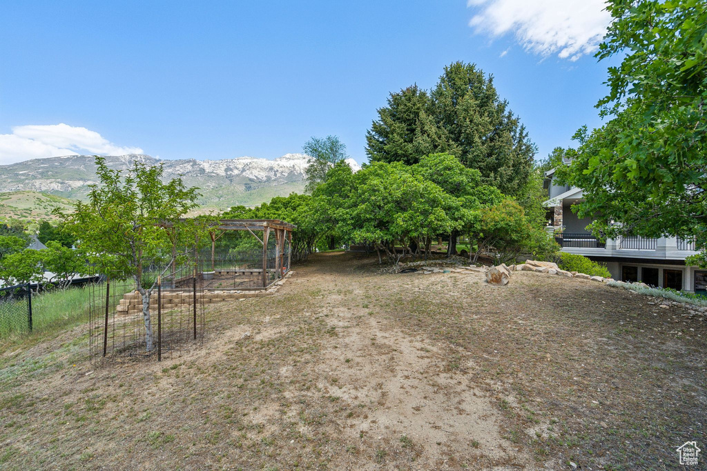 View of yard featuring a vegetable garden and a mountain view