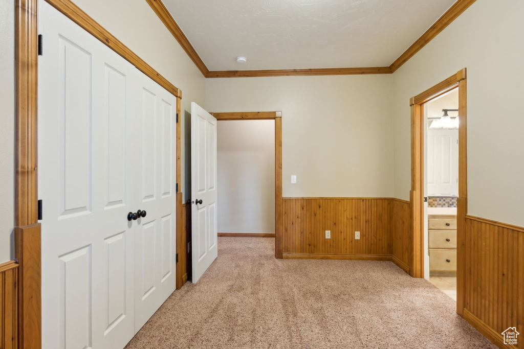 Hallway with wainscoting, crown molding, wood walls, and carpet flooring