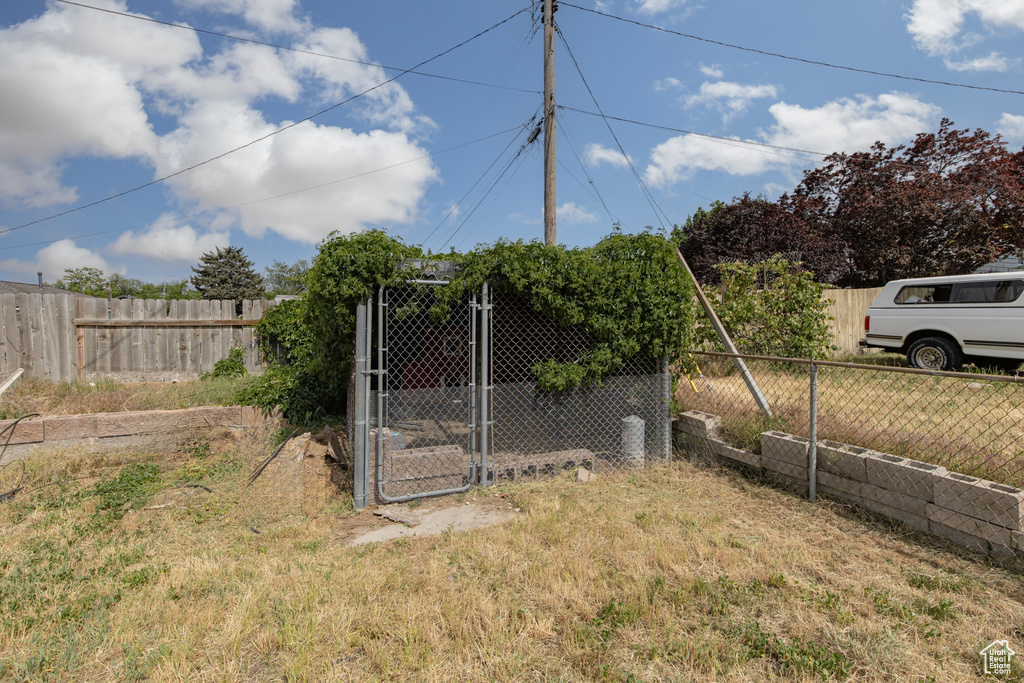 View of yard