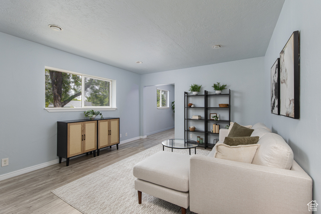 Living room featuring light wood finished floors, baseboards, and a textured ceiling