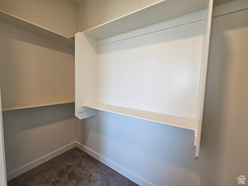 Spacious closet with dark colored carpet