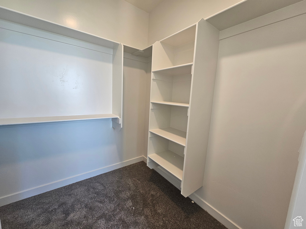 Spacious closet with dark colored carpet