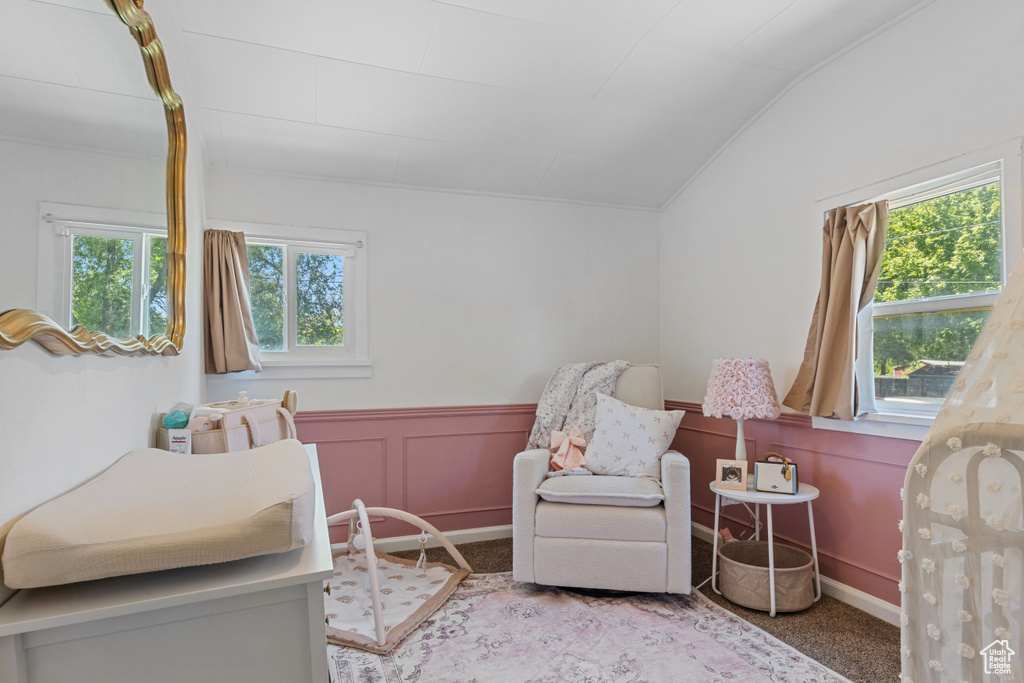 Carpeted bedroom featuring vaulted ceiling and a wainscoted wall