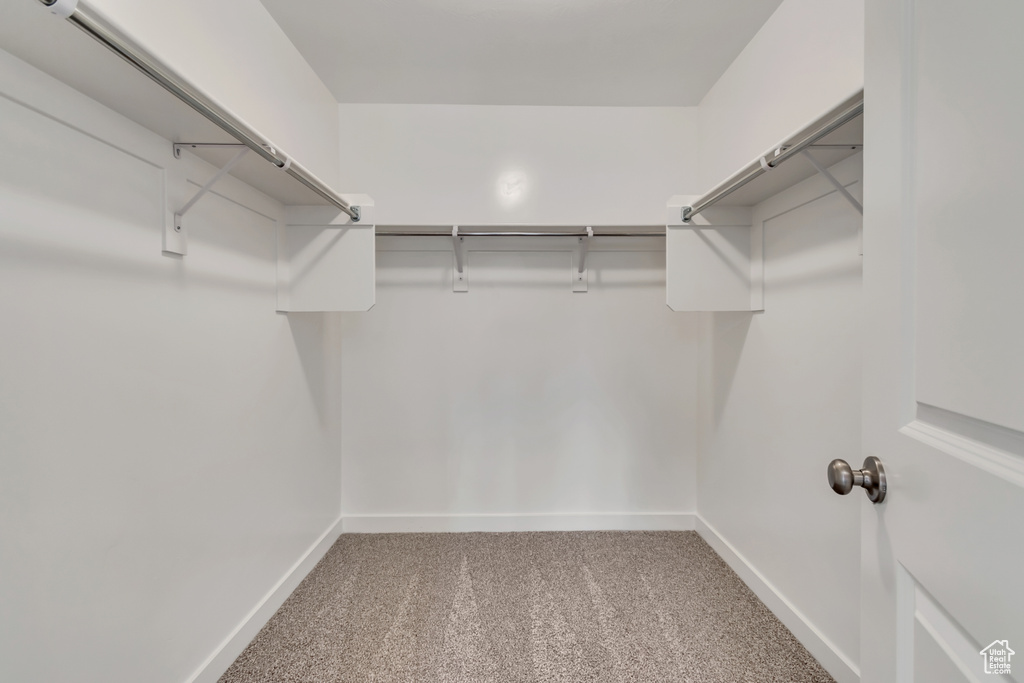 Spacious closet with carpet