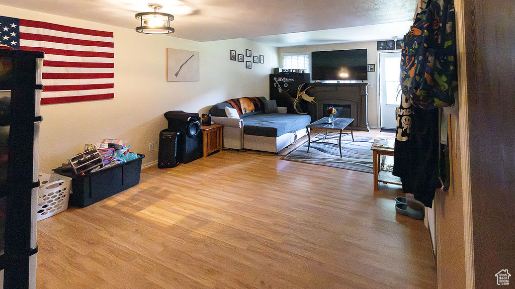 Living area featuring wood finished floors and a fireplace