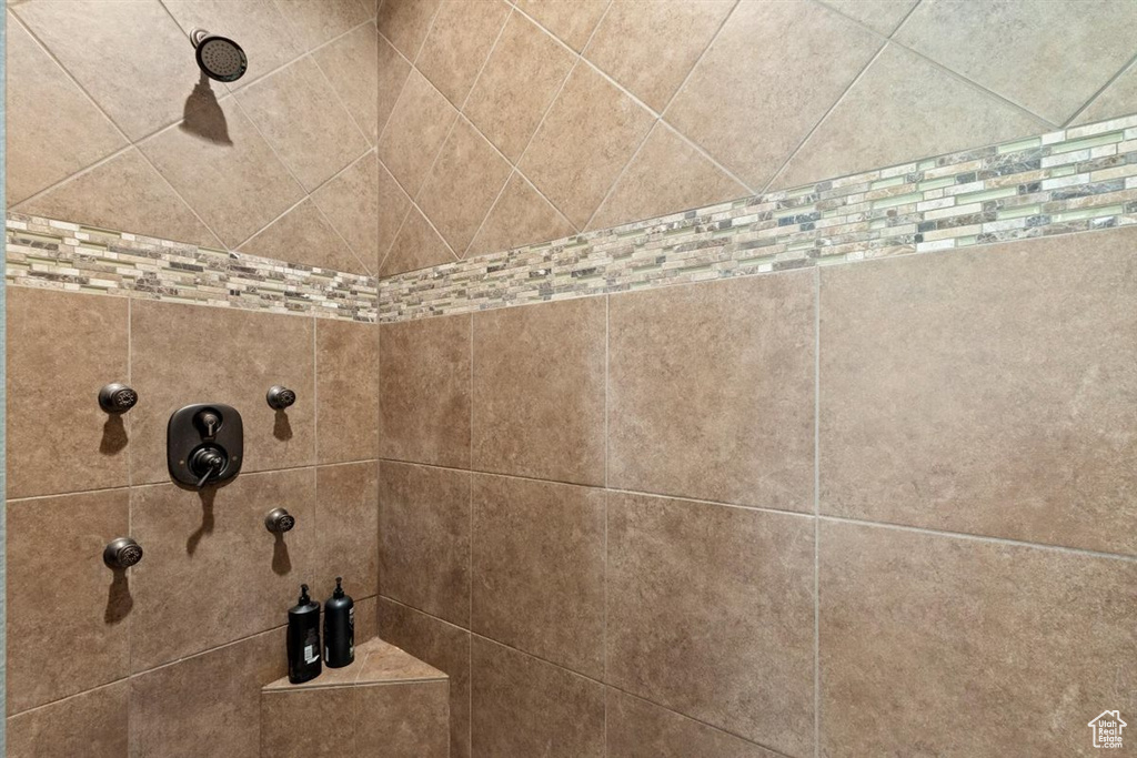 Bathroom view of a tile shower