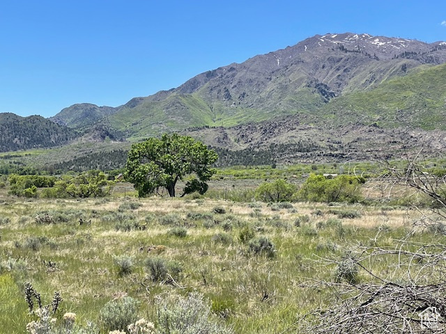 View of mountain backdrop