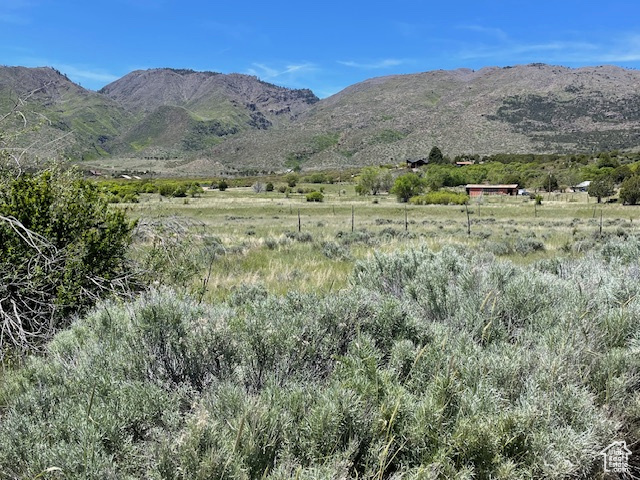 Mountain view