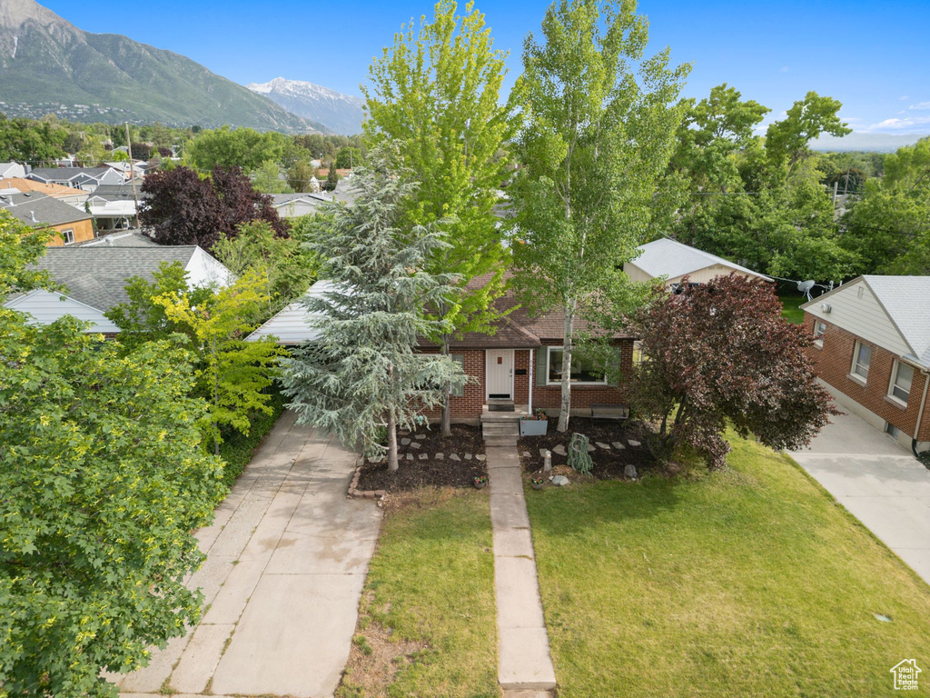 Obstructed view of property featuring driveway, a front lawn, brick siding, a mountain view, and a residential view