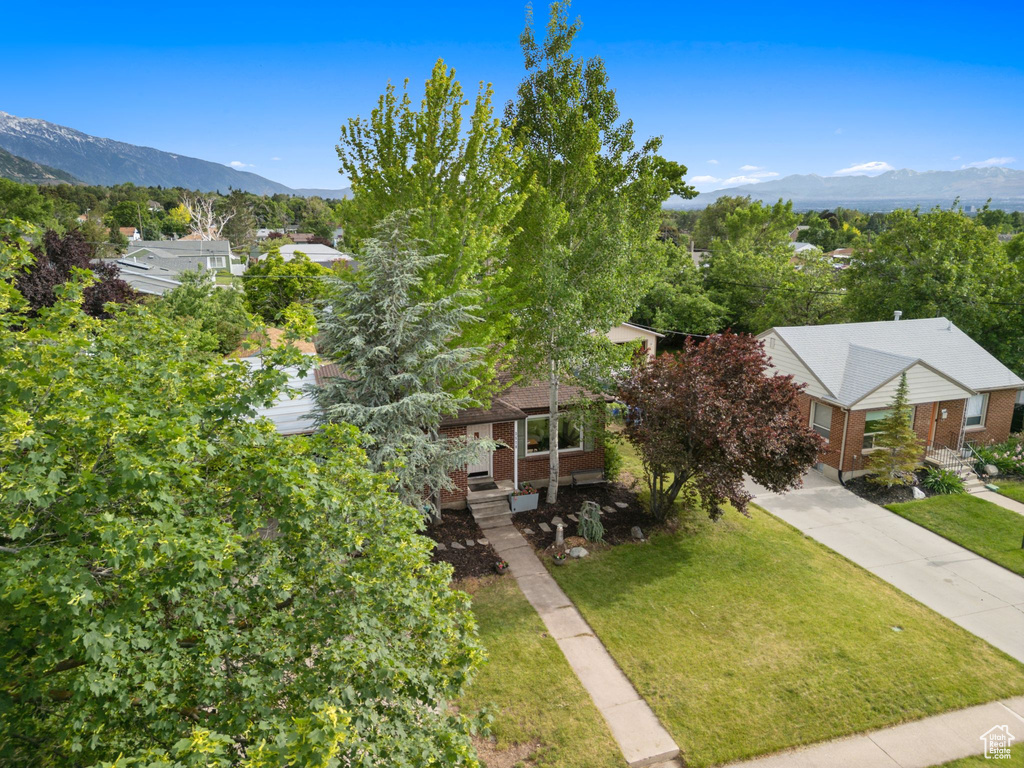 View of property hidden behind natural elements with brick siding, a front yard, and a mountain view