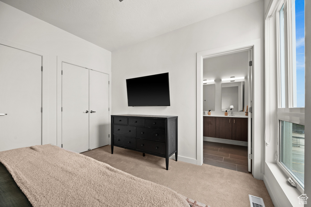 Bedroom featuring carpet flooring, ensuite bath, and multiple windows