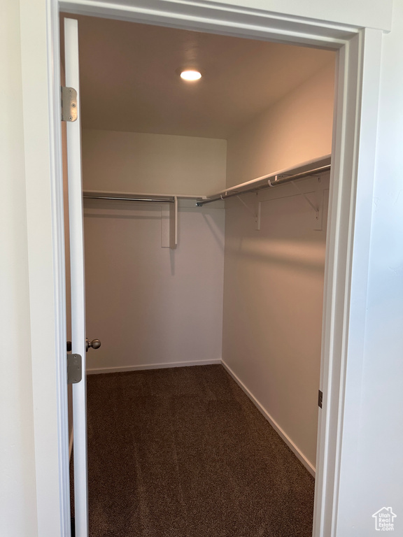Walk in closet featuring dark carpet