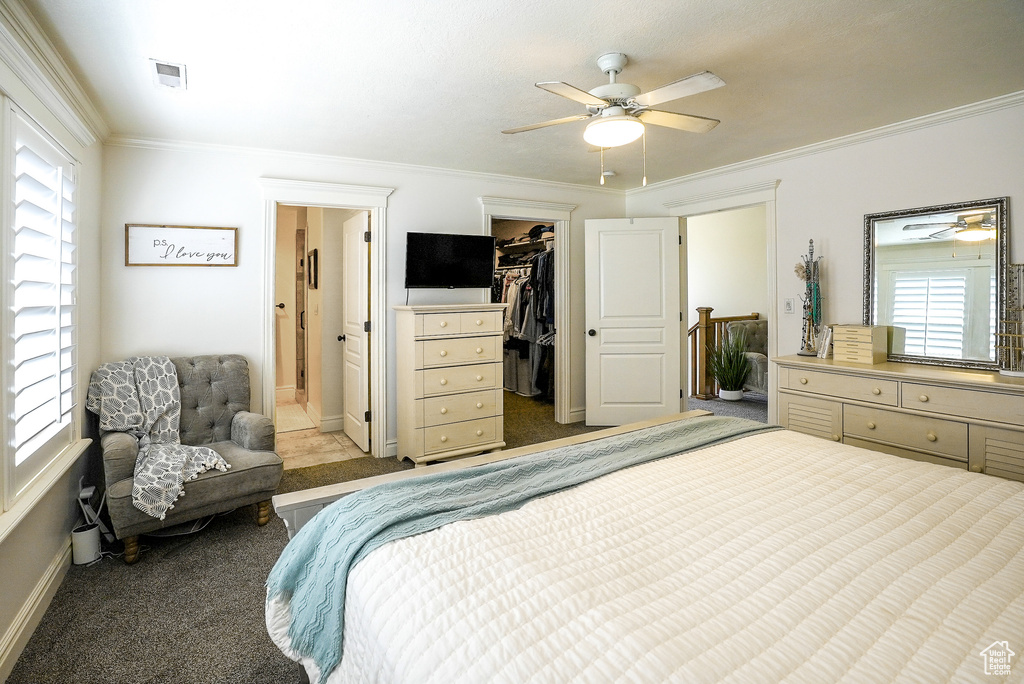 Bedroom featuring multiple windows, carpet, ornamental molding, a spacious closet, and a closet