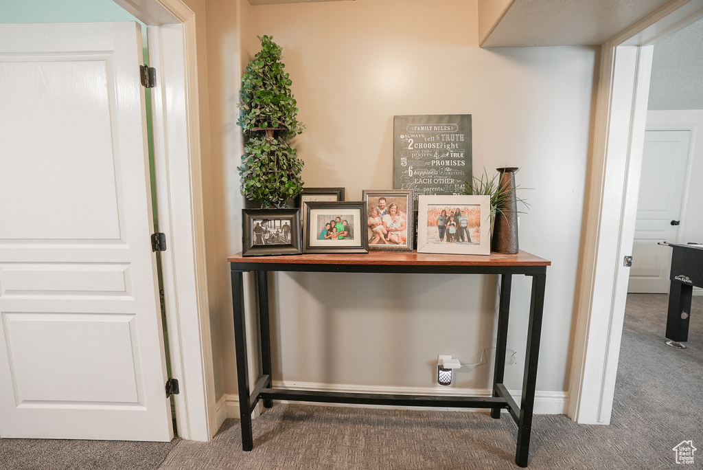 Detailed view of carpet and baseboards