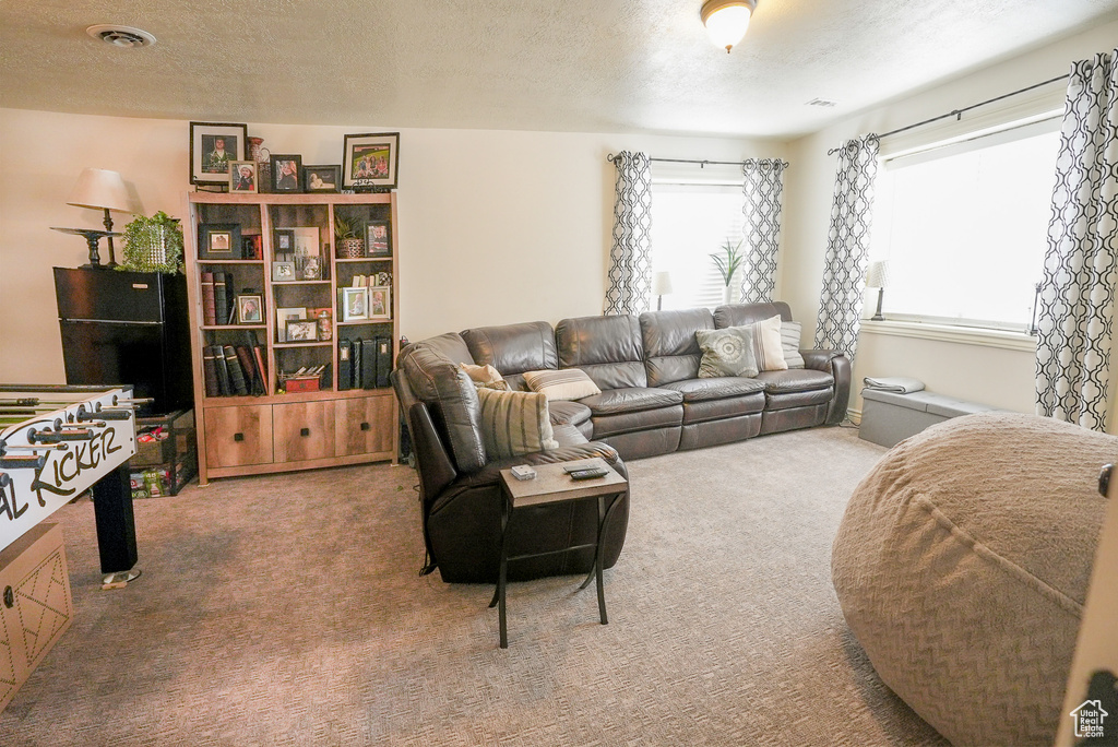 Carpeted living area featuring a textured ceiling